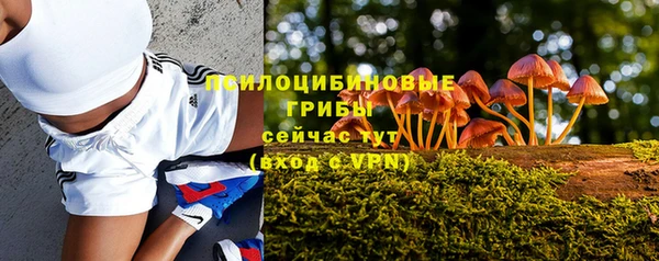 дмт Арсеньев