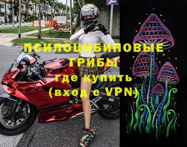 ГАЛЛЮЦИНОГЕННЫЕ ГРИБЫ Балабаново