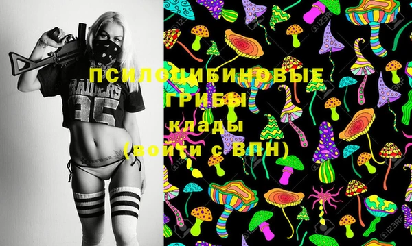 ПСИЛОЦИБИНОВЫЕ ГРИБЫ Аркадак