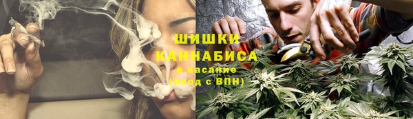 ПСИЛОЦИБИНОВЫЕ ГРИБЫ Аркадак