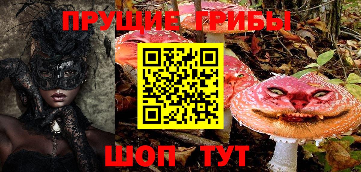 Псилоцибиновые грибы Psilocybe  Псилоцибиновые грибы Psilocybine cubensis  Саянск  Вход с VPN 